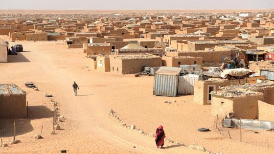 خبير فرنسي يؤكد أن الاعتراف الأمريكي بمغربية الصحراء حسم اللعبة