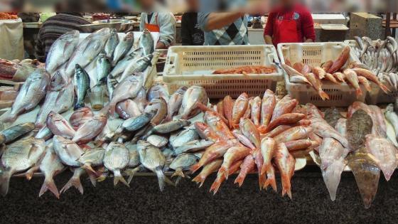 تفاصيل أكثر حول إغلاق سوق السمك وحالته قبل إصابة 50 مهني