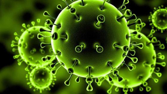 وزارة الصحة تسجل 25 حالات مؤكدة بفيروس كورونا على الساعة 10 صباحا