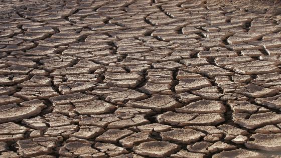 إعلان حالة الطوارئ في 5 مناطق بإيطاليا بشبي الجفاف