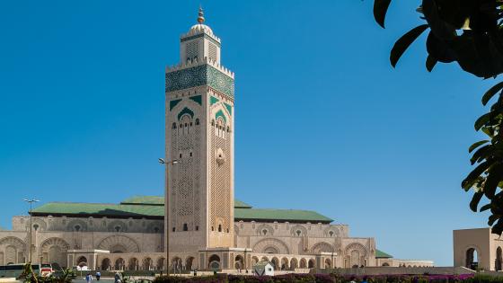 الاستعانة بـ”الشاهين” لمكافحة تكاثر الحمام بمحيط مسجد الحسن الثاني