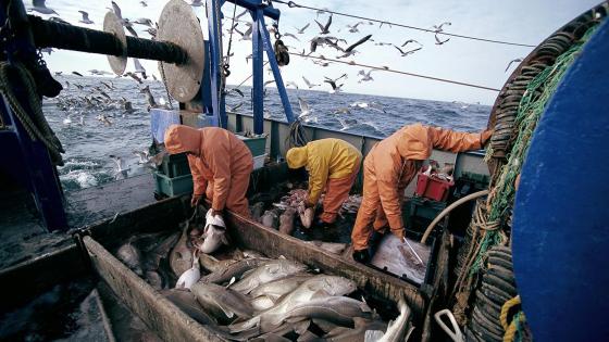 المصادقة على إحداث مؤسسة النهوض بالأعمال الاجتماعية لموظفي وأعوان الصيد البحري