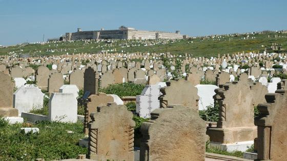 مجلس الحكومة يصادق على قانون جديد ينظم الوفيات ودفن الجثث ونقلها وإخراجها من القبور
