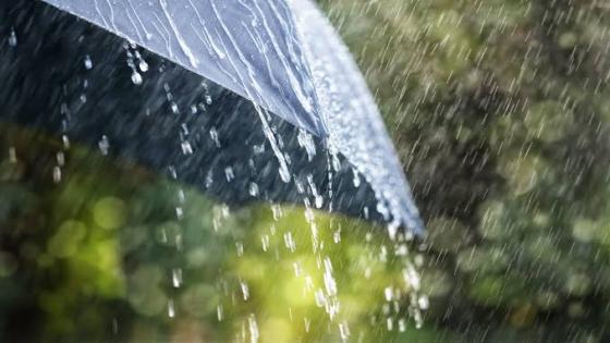 نشرة إنذارية: حرارة مفرطة وأمطار رعدية قوية في عدد من مناطق المملكة