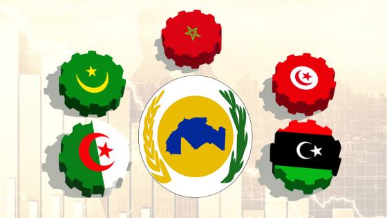 خبير سياسي يرد على الغنوشي: كيان مغاربي دون المغرب وموريتانيا فكرة خرقاء وغير واقعية