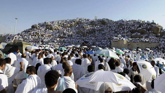 وزارة الأوقاف تكشف تفاصيل مبلغ مصاريف الحج لهذا الموسم